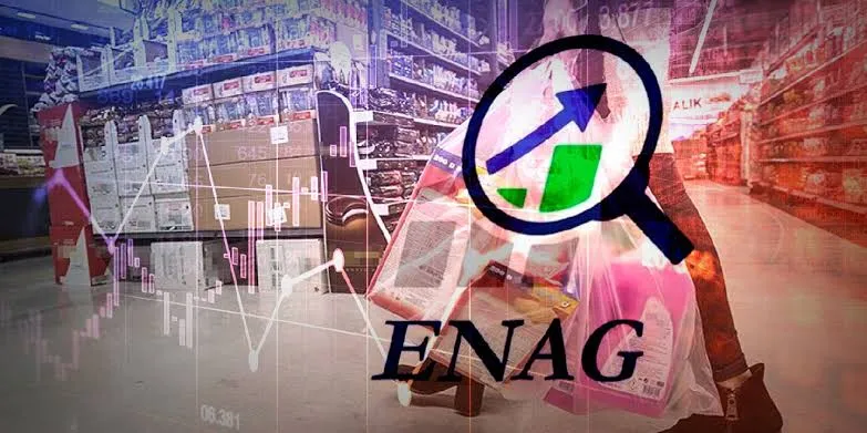 ENAG ve TÜİK Aylık Enflasyon Oranları Karşılaştırma Ekranı